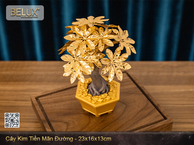 Cây kim tiền mãn đường dat vàng